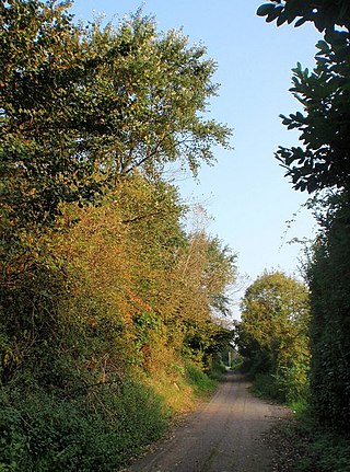 <span class="mw-page-title-main">Monkerton</span> Hamlet in Devon, England