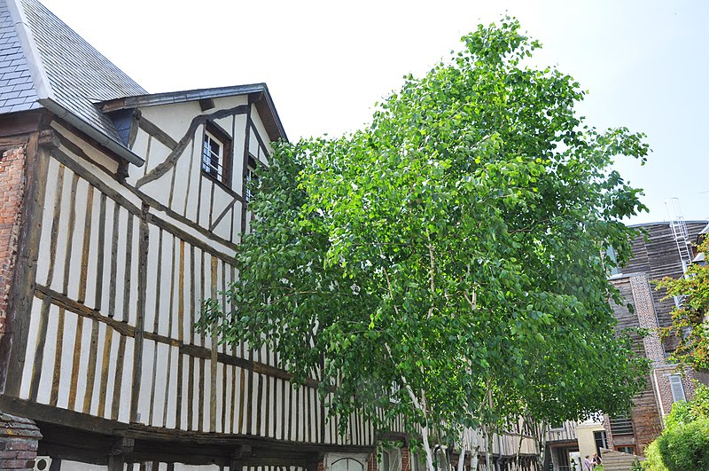 File:Pont-Audemer (Francde) cour Canel.jpg