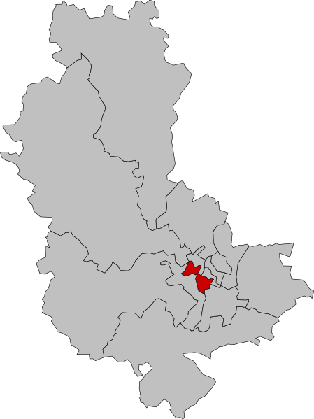 File:Première circonscription du Rhône.svg