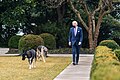 Presidente Biden caminhando com Champ e Major pelo Jardim das Rosas da Casa Branca em janeiro de 2021.