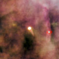 Proplyd 159-338 in the Orion Nebula (captured by the Hubble Space Telescope).jpg