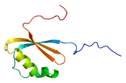 Protein RPL12 PDB 1wib.png