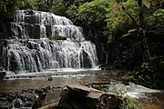 Purakaunui falls reserve (Nouvelle-Zélande)