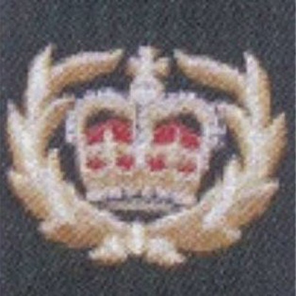 WO2 badge