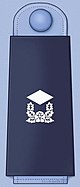 ROKAF insignia Second Lieutenant.jpg
