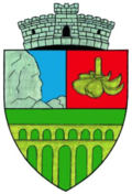 Wappen von Topleț