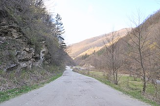 Drumul spre Ocolișel