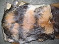 Thumbnail for File:Rabbit fur-skin, Japanese.jpg