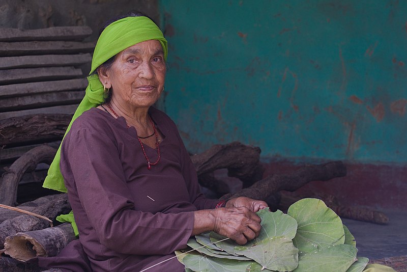 File:Ramdei, a resident of Nadli, Kangra district, making leaf plates 03.jpg