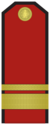 Знак различия Старшина болгарской армии.png