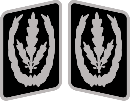 ไฟล์:Reichsführer-SS_Collar_Rank.svg