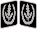 Reichsführer-SS Collar Rank.svg