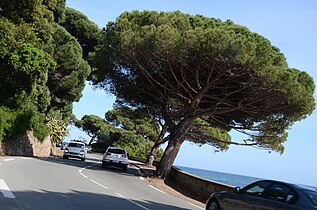 Coastal road near Sainte-Maxime