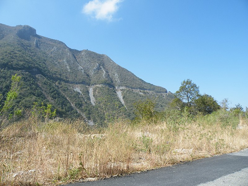 File:Road to Matomorelos, Nuevo Leon (5729530077).jpg