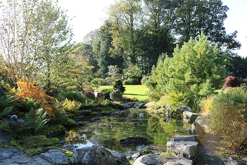 File:Rockpool, Threave Garden - geograph.org.uk - 5936175.jpg