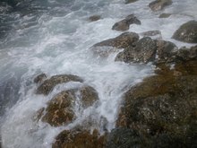 Rocky shore on St. Croix US Virgin Islands, habitat of Cittarium pica Rocky shore on St. Croix US Virgin Islands, habitat of Cittarium pica.jpg