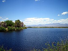 Roper Lake, south of Safford Roper1-kmf.JPG