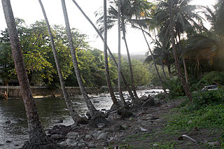 Rosalie River River in Dominica