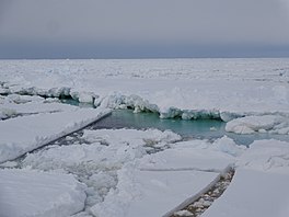 Sea ice in the Ross Sea