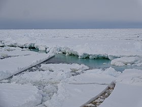 Gheața de mare din Marea Ross