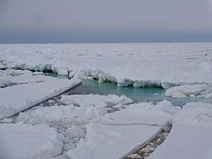 Gheața de mare din Marea Ross