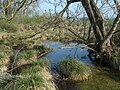 Vorschaubild für Liste der Geotope im Landkreis Dillingen an der Donau