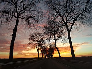 Route: Étymologie, Histoire, Nécessité des routes