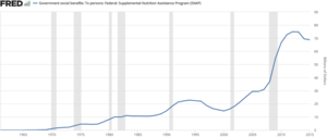 Supplemental Nutrition Assistance Program