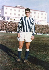 209px-SPAL_-_1960s_-_Carlo_Dell%27Omodarme_%28edited%29.jpg