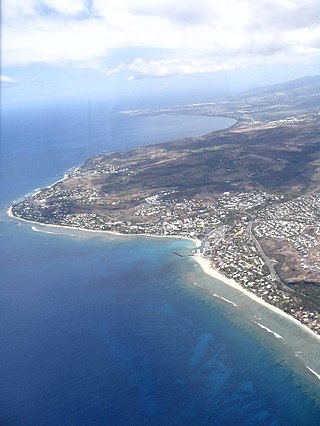 <span class="mw-page-title-main">Réunion's coral reef</span>