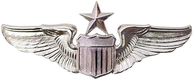 Senior Pilot Badge, World War II U.S. Army Air Forces and U.S. Air Force sample image.