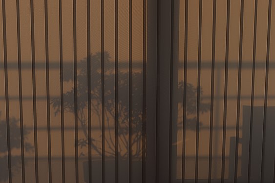 Shadows of plants, a chair and a balustrade on a vertical blind.