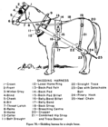 Skidding harness diagram.png
