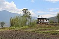 * Nomination House in the village of Sopsokha, Bhutan --Bgag 02:31, 30 August 2018 (UTC) * Promotion Good quality. --Vengolis 02:34, 30 August 2018 (UTC)