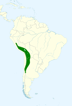 Spinus atratus map.svg