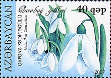 Stamps of Azerbaijan, 2007-800.jpg