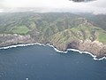 Starr-120406-4216-Digitaria insularis-aerial view-Kahakuloa West Maui-Maui (25045350661).jpg