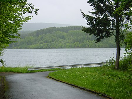 Steinbachtalsperre (Rheinl Pfalz) Stausee