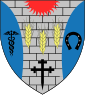 Călăraşi (circulus): insigne