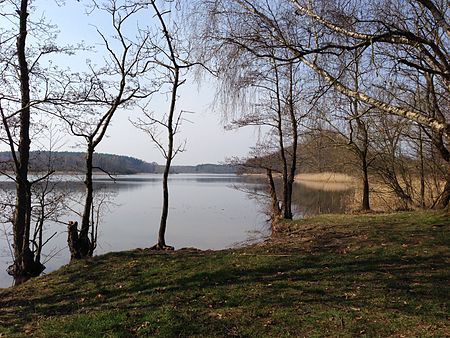 Sternberg Wustrowsee 2014 03 30 3