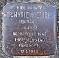 wikimedia_commons=File:Stolperstein Dr. Marie Noether.jpg