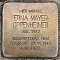 Stolperstein für Erna Mayer-Oppenheimer (Oisterwijk).jpg