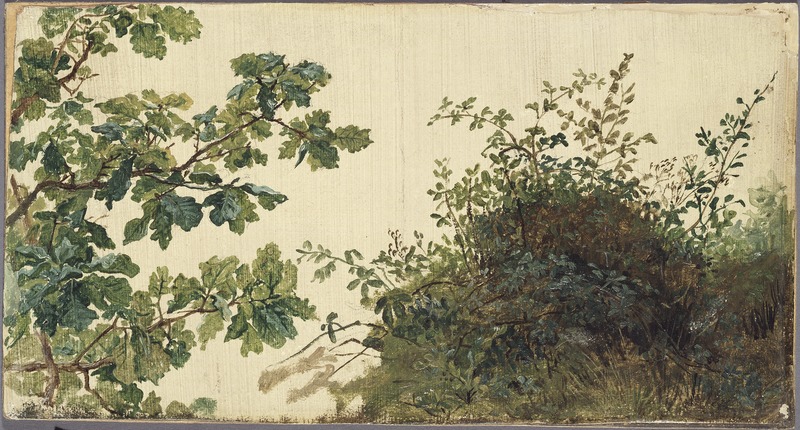File:Study of Vegetation (Kilian Zoll) - Nationalmuseum - 20935.tif