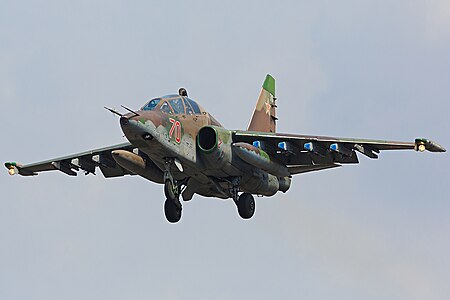 Tập_tin:Sukhoi_Su-25_of_the_Russian_Air_Force_landing_at_Vladivostok_(8683077652).jpg