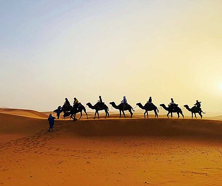 Sunset in Sahara