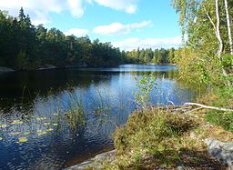 Dammsjön sedd från Tattby naturreservat