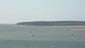 The south coast of Tauksi (May 2009)