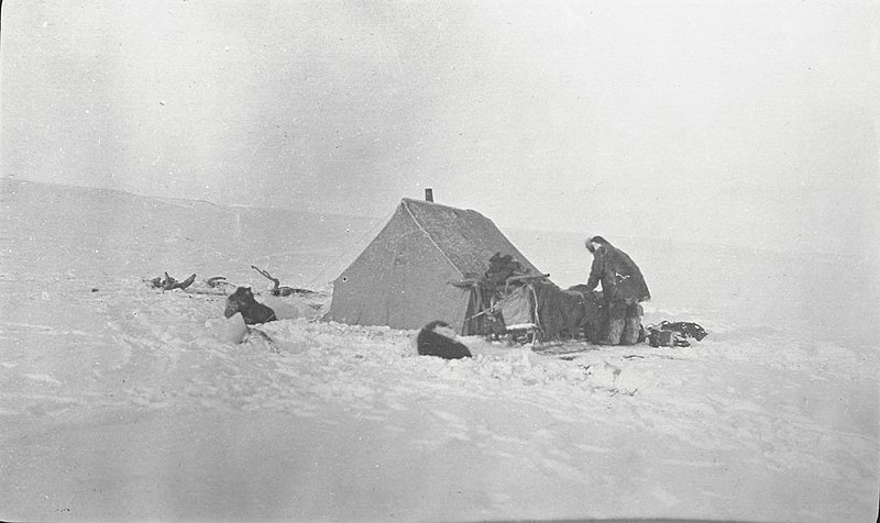 File:Temporary tent camp on coast of Amundsen Gulf (43265).jpg