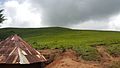 The Mambilla Plateau, Nigeria 12.jpg