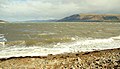 The shore at Carlingford - geograph.org.uk - 732447.jpg